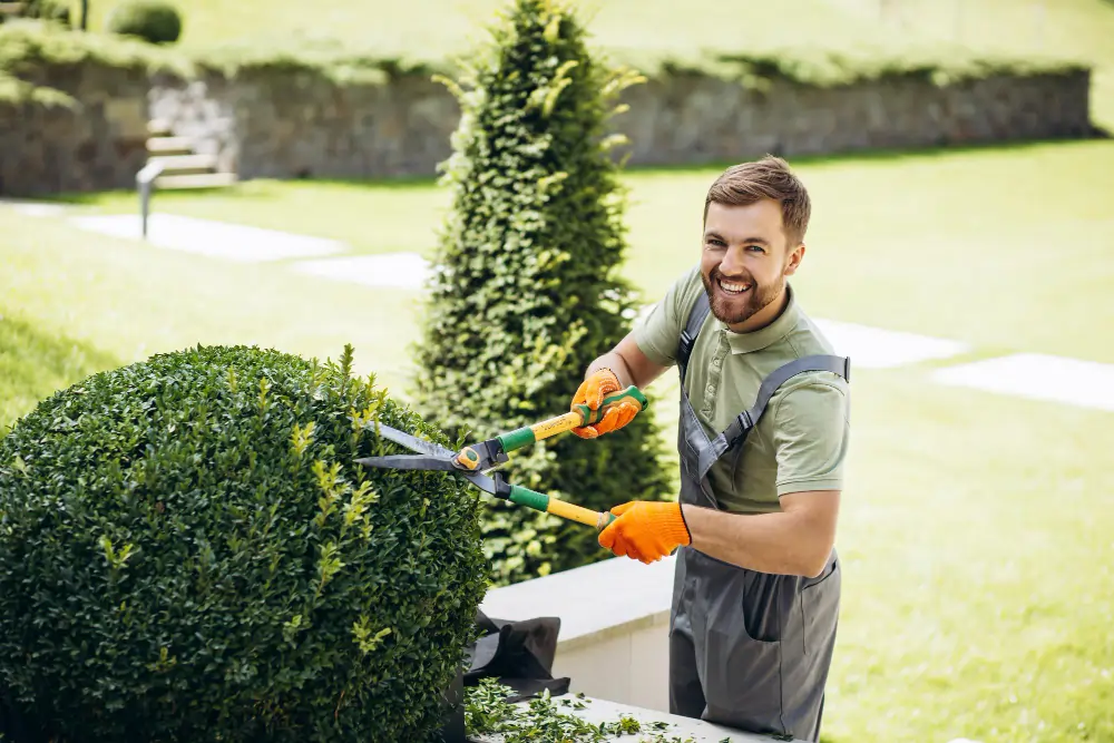 Gardening & Yard Maintenance